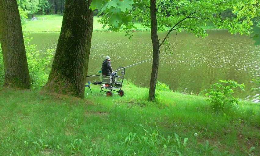 Wędkarze codziennie łowią ryby w stawach w parku...