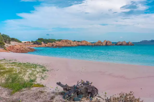 Spiaggia Rosa to jedna z najpiękniejszych plaż Włoch i unikat na skalę światową. Niestety, turystom nie wolno postawić na niej choćby jednej stopy, a za złamanie zasad grożą zastraszająco wysokie mandaty, nawet ponad 15 tys. zł. Dlaczego Spiaggia Rosa jest tak unikalna i w jaki sposób można ją legalnie zobaczyć na własne oczy?