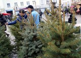 Kiermasz świąteczny na Rynku w Inowrocławiu [zdjęcia]