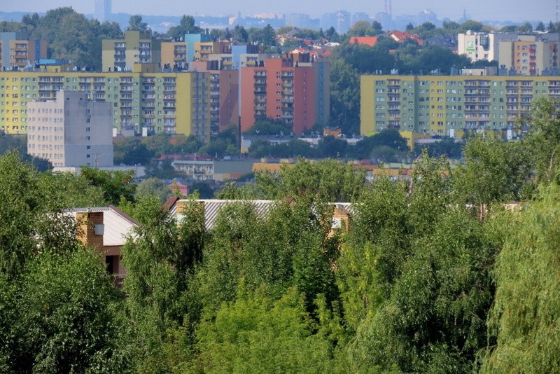 Oto, co widać z Górki Gołonoskiej i Borowego Wzgórza w...