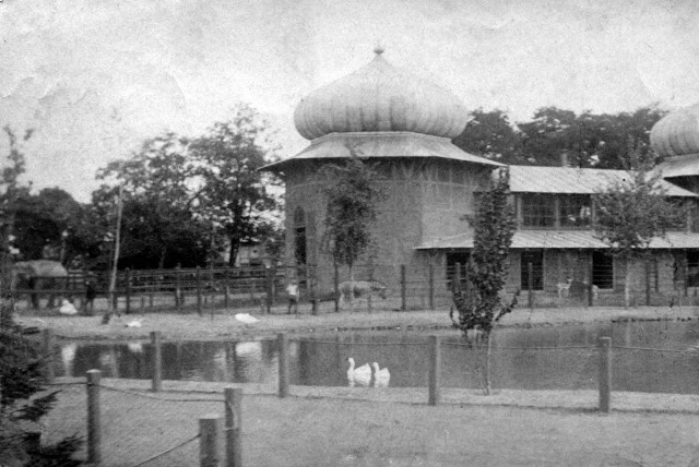 Słoniarnia to najprawdopodobniej najstarszy budynek w Starym Zoo, który powstał dzięki przebudowie dawnej parowozowni