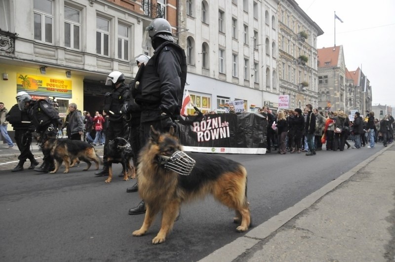 Podczas Marszów Równości w Poznaniu co roku w mobilizacji są...