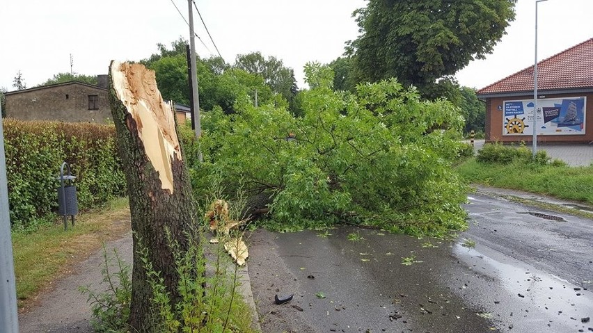 W Czeladzi drzewo przewróciło się na ulicę Nowopogońską i...