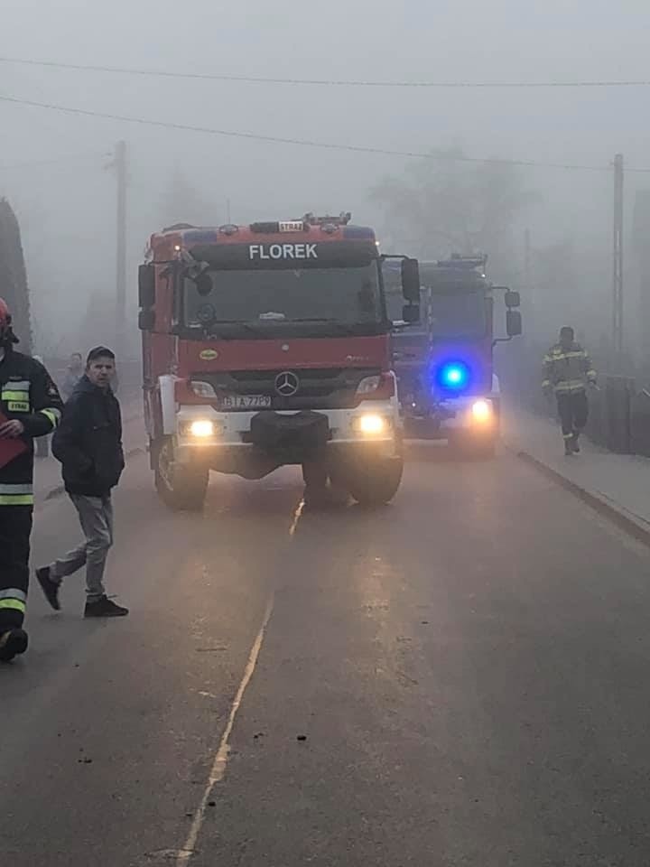 Gniła. Wypadek z udziałem trzech aut osobowych na drodze powiatowej w stronę Krypna [ZDJĘCIA]