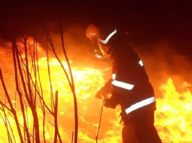 Strażacy kilka razy gasili już pożary pod Wójcinem