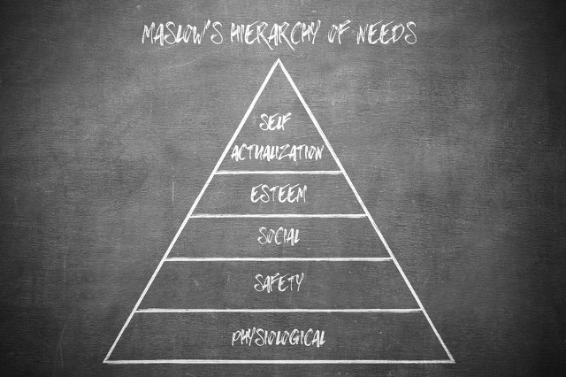 Zdaniem Maslowa, priorytetem dla każdej jednostki jest zaspokojenie potrzeb najbardziej podstawowych. Dopiero wówczas może pojawić się pragnienie zaspokojenia kolejnych poziomów potrzeb