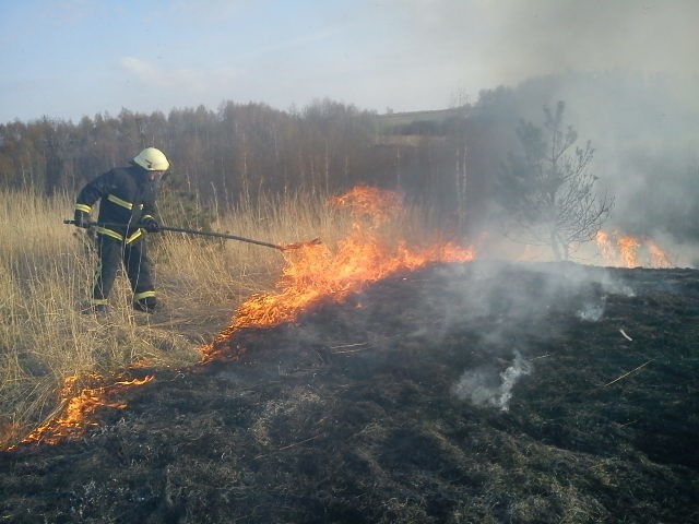 Pożar w Górach Pęchowskich