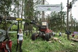 Protest ekologów Greenpeace w Puszczy Białowieskiej (zdjęcia)