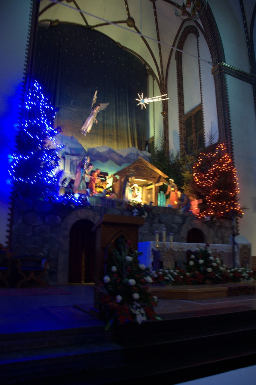 Wrocławianie odwiedzają bożonarodzeniowe szopki (ZDJĘCIA, FILM)