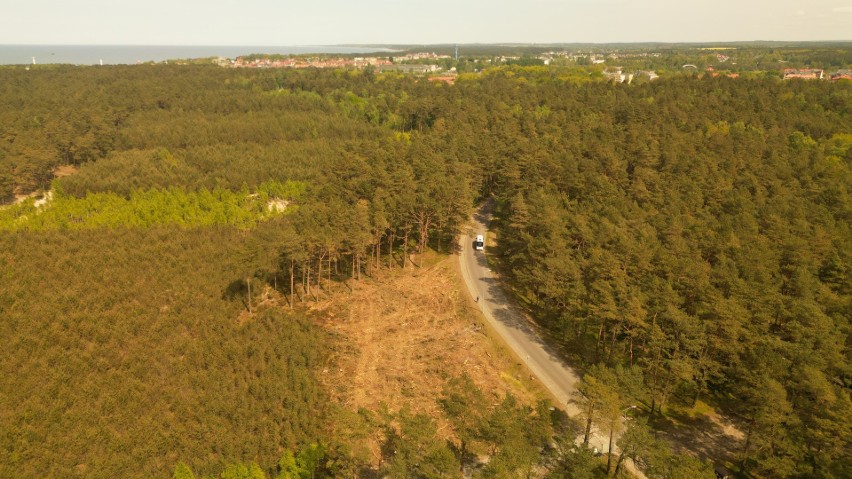 Wycinka drzew w lesie między Ustką a CSMW