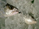 Produkty własne hipermarketów: uwaga na ryby, przetwory i mięso