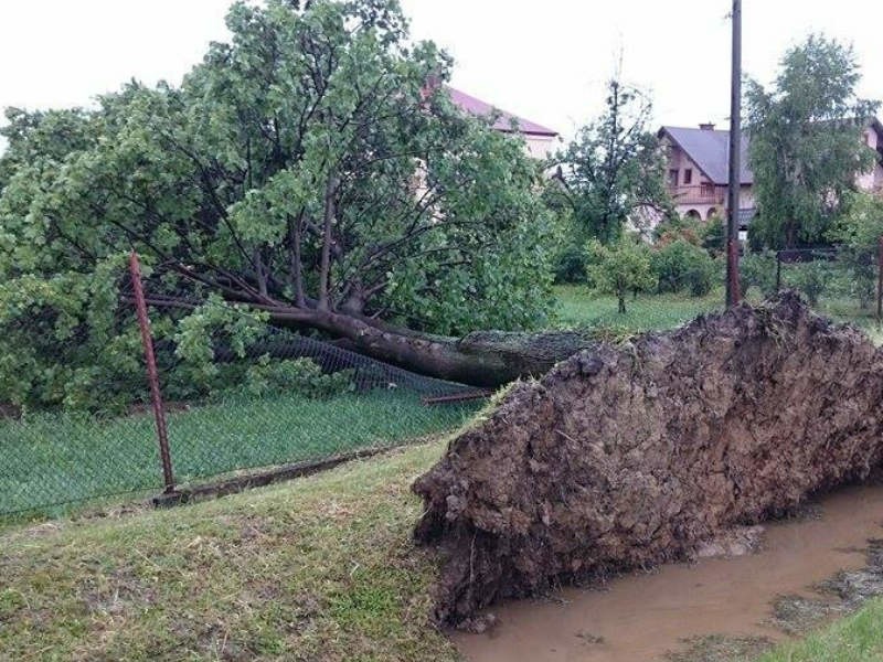 Nawałnica przeszła nad gminą Brzyska [ZDJĘCIA]