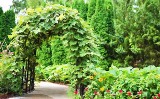  Pomysł na ogród – rajski ogród