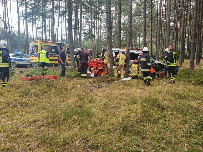 Groźny wypadek w miejscowości Asmus w powiecie chojnickim 19.08.2022. Bus uderzył w drzewo. 8 osób poszkodowanych