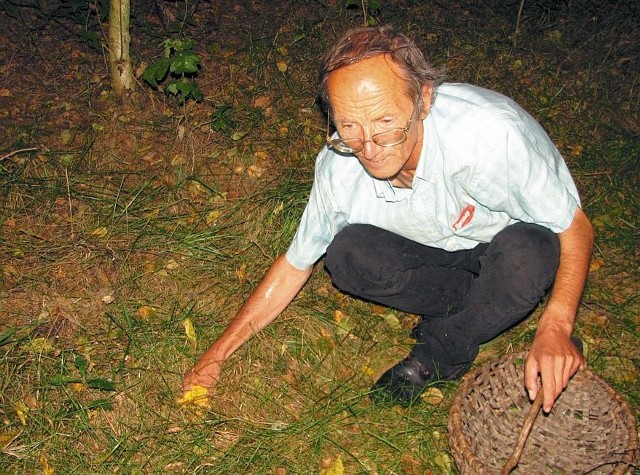 Zbieram grzyby z powodzeniem od 30 lat. Potrafię dziennie przejść lasem kilkanaście kilometrów - mówi Mieczysław Żukowski.