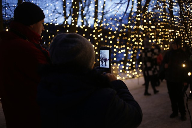 Iluminacje w Parku Oliwskim