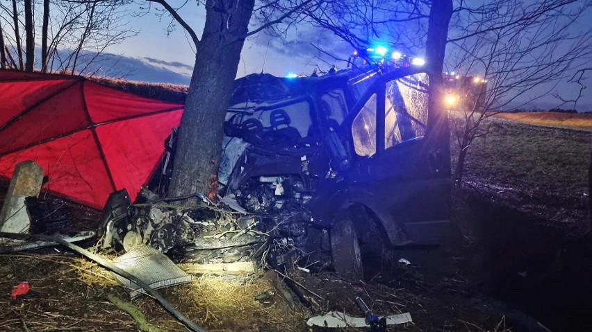 Powiat łukowski. Tragiczny wypadek w gminie Serokomla. Dostawczy bus wbił się w drzewo, kierowca zginął na miejscu