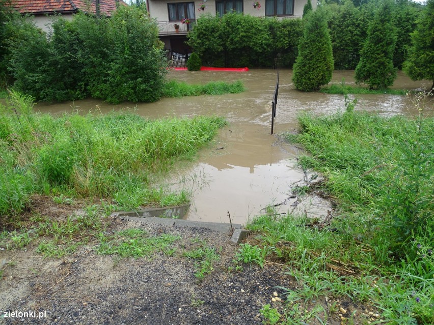 Podtopienia i powalone drzewa po nocy ze środy na czwartek w...