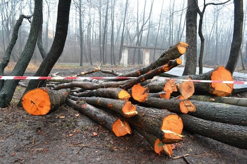 Bulwary Straceńskie: manifestacja w obronie drzew