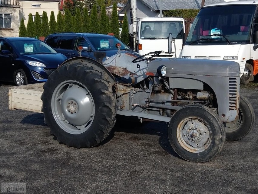 Massey Ferguson z 1952r., silnik benzynowy, Zadbany,...