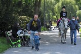 Niedziela 17 maja w Parku Miejskim w Kielcach należała do rodzin. Były tłumy [ZDJĘCIA]