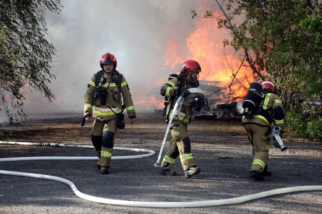 W całym kraju obowiązuje duże zagrożenie pożarowe w lasach. 