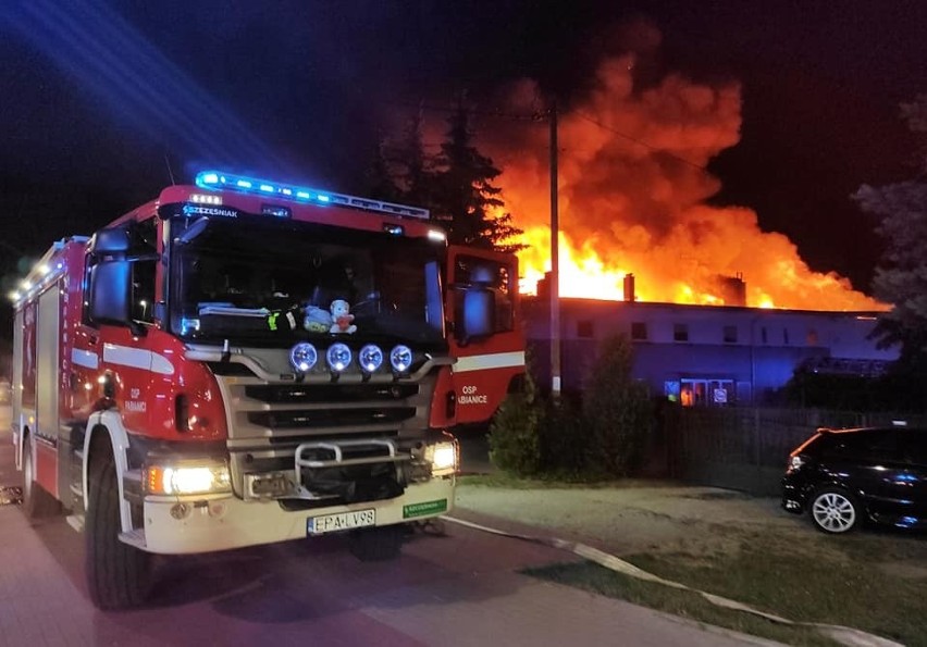 Tragiczna noc w Pabianicach. W pożarze pustostanu zginął mężczyzna, spłonęła hurtownia materiałów budowlanych ZDJĘCIA