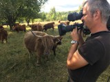 O Goethem pod lipą i szkockich krowach, czyli o smakach Kotliny Kłodzkiej