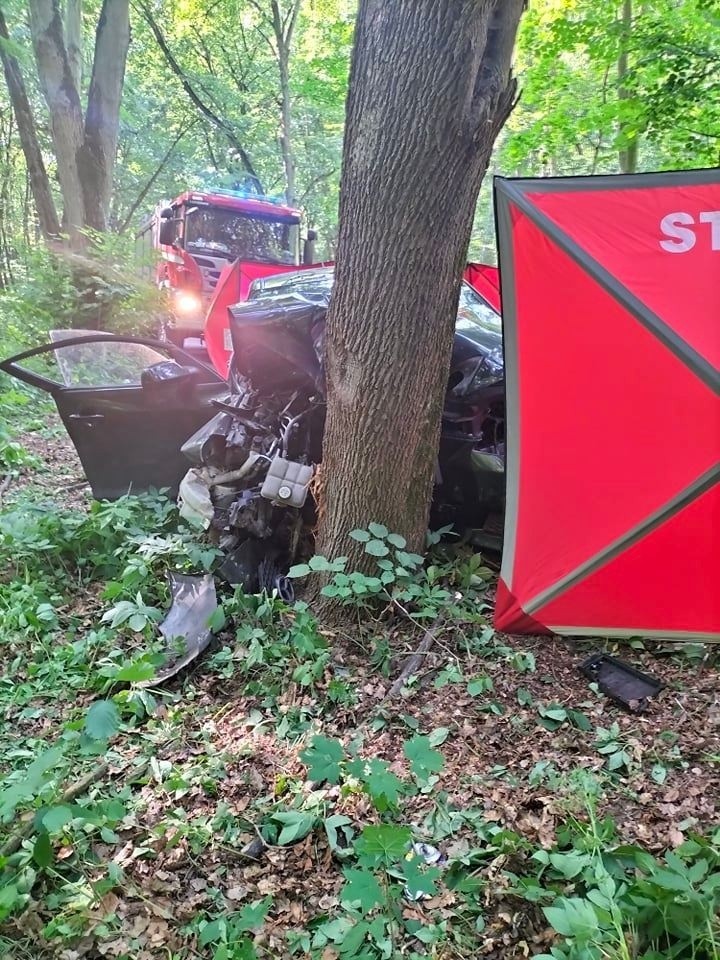 Tragiczny wypadek pod Grudziądzem. Samochód uderzył w drzewo. Nie żyje jedna osoba [zdjęcia]