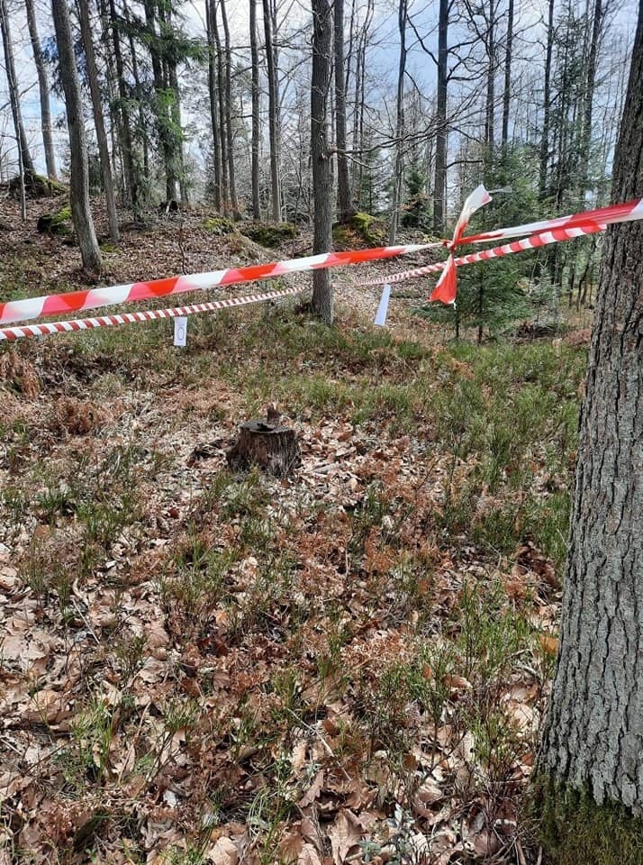 Kolejne niebezpieczne znalezisko w świętokrzyskich lasach. Niewybuchy i pociski w Nadleśnictwach Suchedniów i Starachowice 