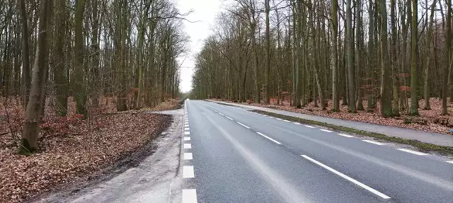 Zamawiający chce wybudować nową drogę od skrzyżowania z drogą wojewódzką nr 114 (ul. Tanowska) aż do skrzyżowania z drogą powiatową nr 3914Z Szczecin - Przęsocin-Police