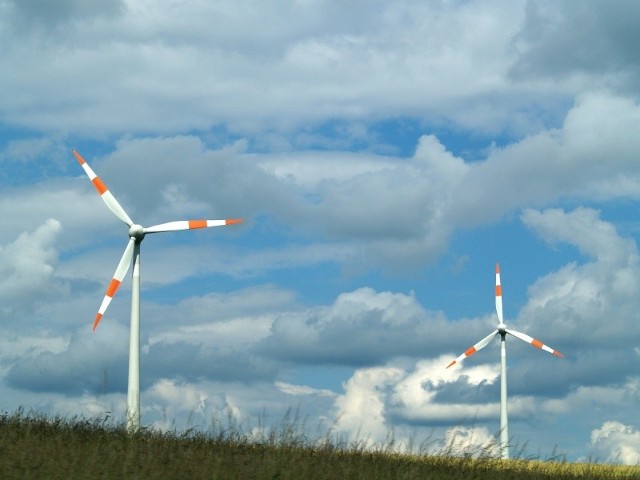 Fermę wiatrową w okolicach Wierzbnika chce postawić szczecińska firma EPA Wind. (fot. sxc)