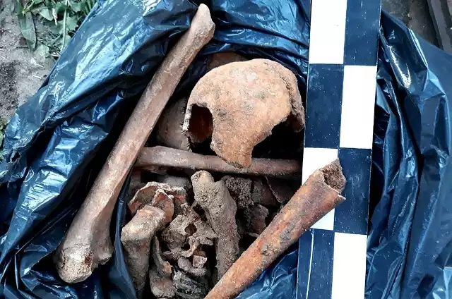 Policja oraz prokuratura badają sprawę odkrycia szczątków ludzkich, na jakie natrafiono przy ulicy Jaracza w Wolinie.