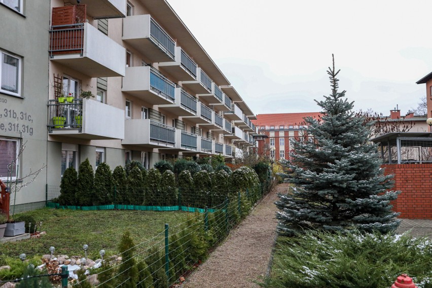 Ceny mieszkań w Szczecinie. To w stolicy Pomorza Zachodniego mieście najbardziej wzrosły ceny w ciągu roku!
