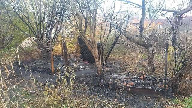 Po pożarze na terenie ogródków działkowych, strażacy znaleźli ludzkie zwłoki