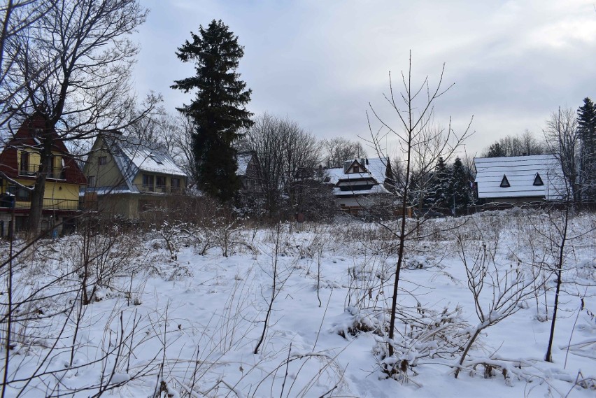 Zakopane. Radni zmienią plan zagospodarowania, by powstrzymać budowę apartamentowca w rejonie Równi Krupowej 