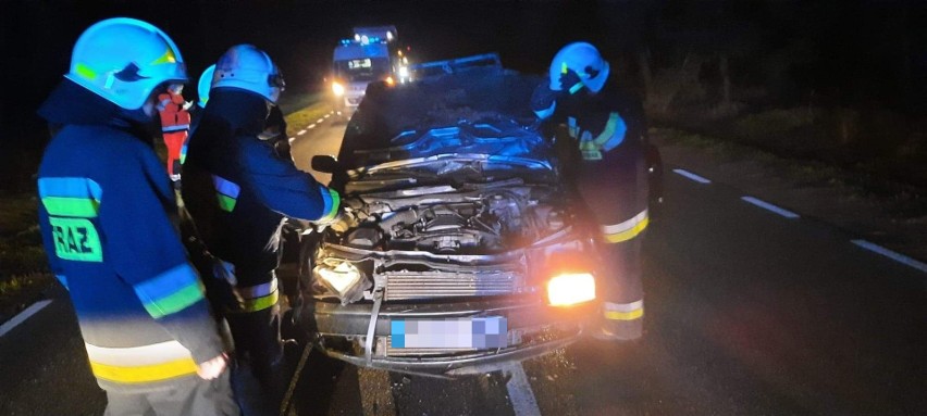 Czarnowo. Łoś wybiegł na drogę wprost pod nadjeżdżający samochód. Do zdarzenia doszło 13.04.2022