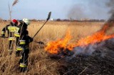 Gorzów. Ktoś wypalał trawę, jedna osoba poszkodowana. Z dymem mogły pójść domy!