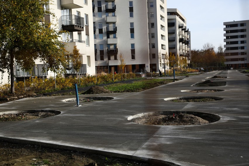 Park w Czyżynach nabiera kształtów [ZDJĘCIA Z DRONA]