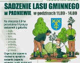 Gmina Mogilno. 1 kwietnia 2023 w Padniewie odbędzie się wspólne sadzenie lasu gminnego. Zaproszenie dla wszystkich chętnych