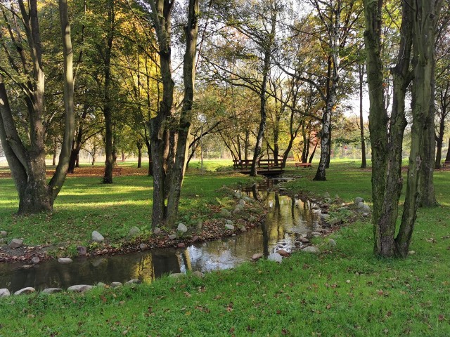 Park Grabek w Czeladzi wygląda ciekawie o każdej porze roku Zobacz kolejne zdjęcia/plansze. Przesuwaj zdjęcia w prawo - naciśnij strzałkę lub przycisk NASTĘPNE