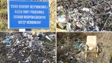 Dzikie składowisko odpadów w Parku Reagana w Gdańsku. Kto za to odpowie?