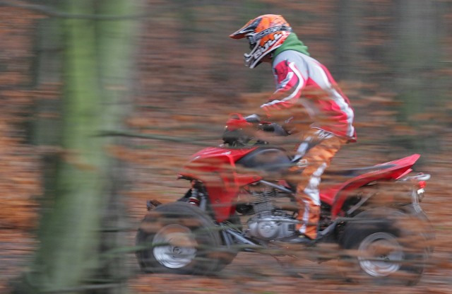 Quadem czy motocyklem można wjeżdżać do lasu, ale jeździć wolno tylko po drogach publicznych lub udostępnionych do ruchu