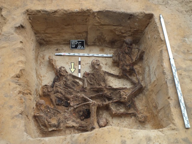 Przebadane szkielety określono jako pochodzące od mężczyzn w wieku od 20 do 60 lat