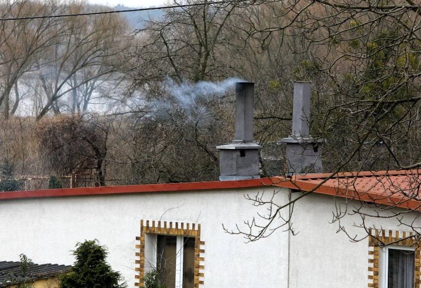 O jednorazowy dodatek energetyczny mogą starać się...