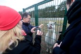 Rehabilitacja i azyl dla dzikich zwierząt. Minął rok działalności ośrodka w Wielgowie