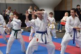 Wielkie święto karate. Midoriyama znaczy Zielona Góra. Zawodnicy rywalizowali w ogólnopolskiej turnieju