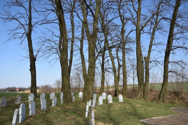 Cmentarz z okresu I wojny światowej w Drohojowie w gminie...