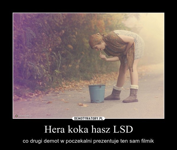 Karolina Czarnecka i jej "Hera koka hasz LSD". Co na to...