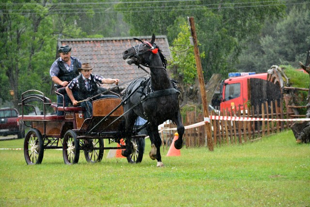 Tak wyglądała rywalizacja w powożeniu podczas jednej z poprzednich edycji Dnia Konia na Podlasiu
